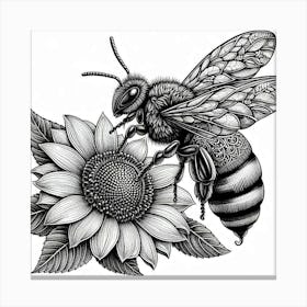 Line Art bee 2 Canvas Print