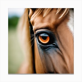 Eye Of A Horse 4 Canvas Print