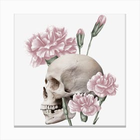 Skull With Carnations Canvas Print