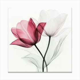 Pastel X Ray Icm Flowers 17 1 Leinwandbild