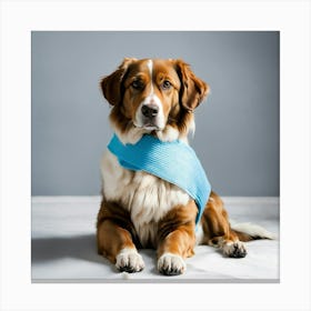 A Photo Of A Dog With A Bandage On Its Leg 2 Canvas Print