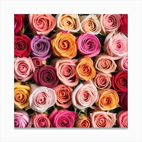 Colorful Roses 12 Canvas Print