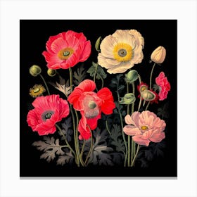 Poppies On Black Background Canvas Print