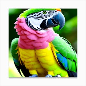 Parrot 1 ( Fromhifitowifi ) Canvas Print