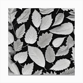 Black And White Leaves 2 Canvas Print