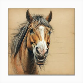 Horse Portrait 9 Canvas Print