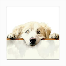 Dog Looking Over A Board Canvas Print