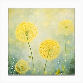 Dandelions Canvas Print