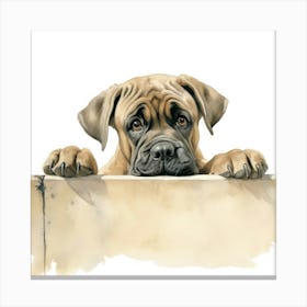 Boxer Dog 20 Canvas Print