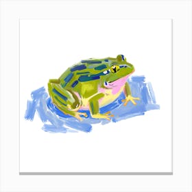 American Bullfrog 07 Canvas Print