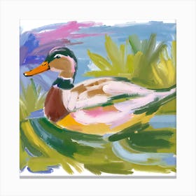Duck 01 Canvas Print