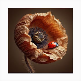 Ladybird and Dried Poppy  Canvas Print