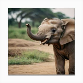 Baby Elephant In Kenya Stampe su tela