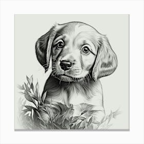 Cute baby puppy dog animal sitting nature pencil drawing Canvas Print