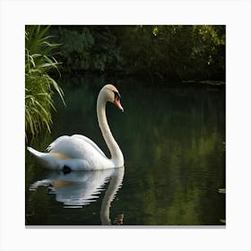Swan In Water 2 Canvas Print