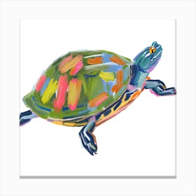 Painted Turtle 02 Canvas Print