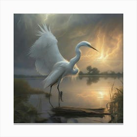 Egret Canvas Print