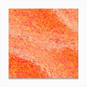 Orange brush strokes Canvas Print