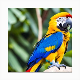 Parrot, Parrots, Parrots, Parrots, Parrots, Parrots Canvas Print