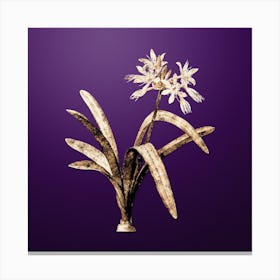 Gold Botanical Pancratium Illyricum on Royal Purple n.4061 Canvas Print