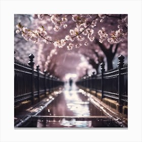 Black Railings lining Cherry Blossom Avenue Canvas Print