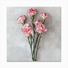 Carnations Canvas Print