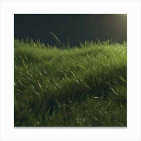 Grass Field At Night Canvas Print