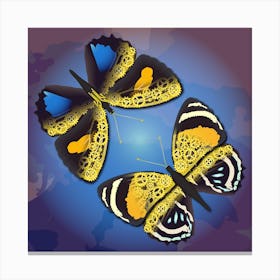 A Couple Of Mechanical Callicore Aegina Butterflies On A Blue Background Canvas Print