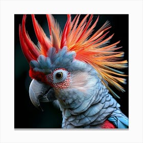 Colorful Parrot On Black Background Canvas Print