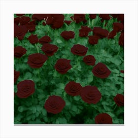 Dark Roses of Mystery Canvas Print