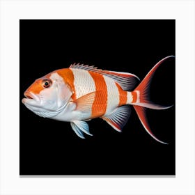 It's a vibrant fish with striking red and white stripes Canvas Print