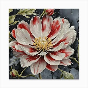 Raindrops On A Flower Canvas Print