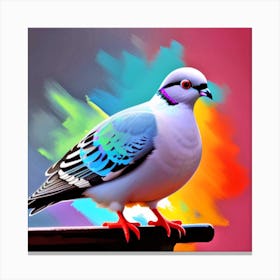 Pigeon 14 Canvas Print