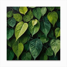 Green Leaves On A Black Background Canvas Print