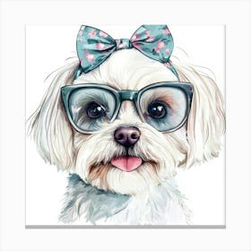 Shih Tzu 14 Canvas Print