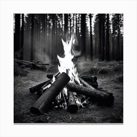 Campfire In The Woods 1 Canvas Print