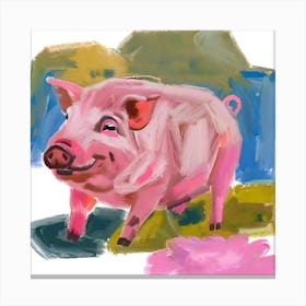 Landrace Pig 01 Canvas Print