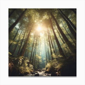 Forest Stream 3 Canvas Print