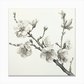 Ink Cherry Blossoms Branches 4 Canvas Print