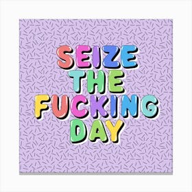 Seize The Fucking Day Canvas Print