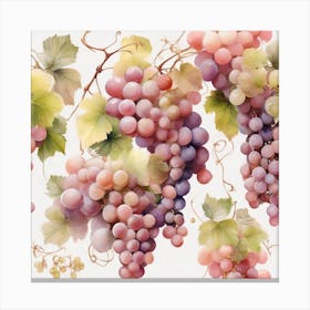 Pink grapes, White grapes, Vine 1 Canvas Print