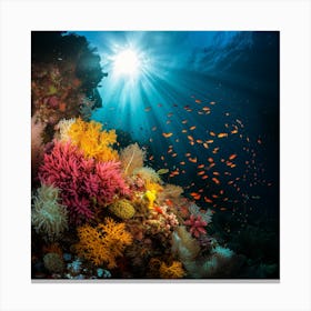 Coral Reef With Colorful Fishes Canvas Print