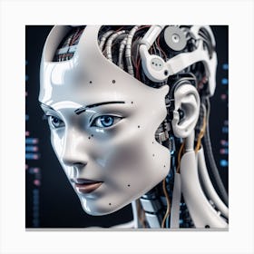 Cyborg Woman 23 Canvas Print