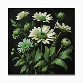 Daisies Canvas Print