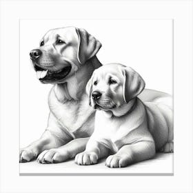 Pencil drawing of Labrador Retriever Mother and puppy Canvas Print