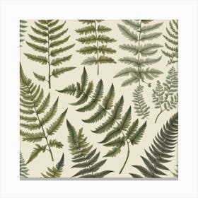 Ferns 6 Canvas Print