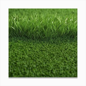 Artificial Grass 1 Canvas Print