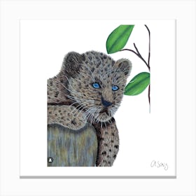Baby Leopard. 1 Canvas Print