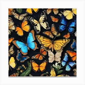 Butterfly Collection 1 Canvas Print