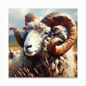 Rambouillet Ram Canvas Print